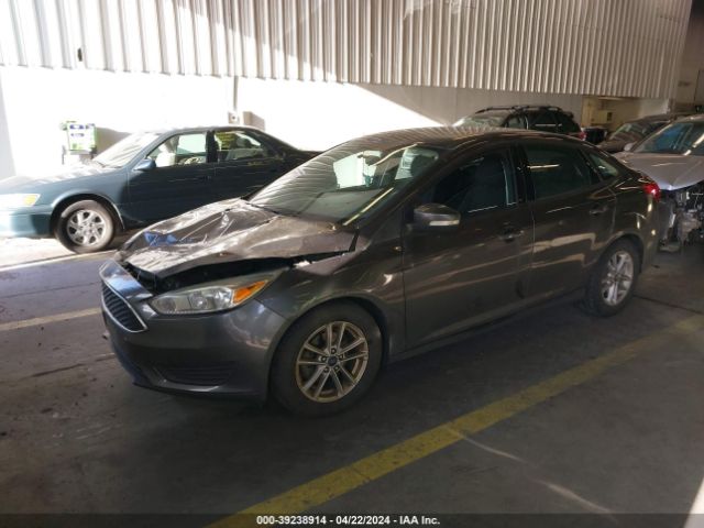 Photo 1 VIN: 1FADP3F25GL282464 - FORD FOCUS 