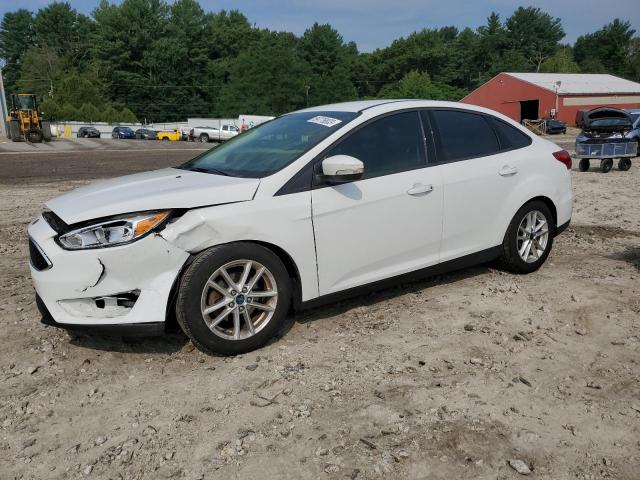 Photo 0 VIN: 1FADP3F25GL306746 - FORD FOCUS SE 