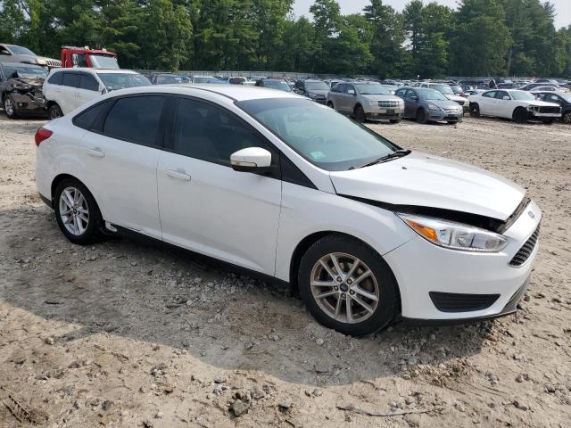 Photo 3 VIN: 1FADP3F25GL306746 - FORD FOCUS SE 