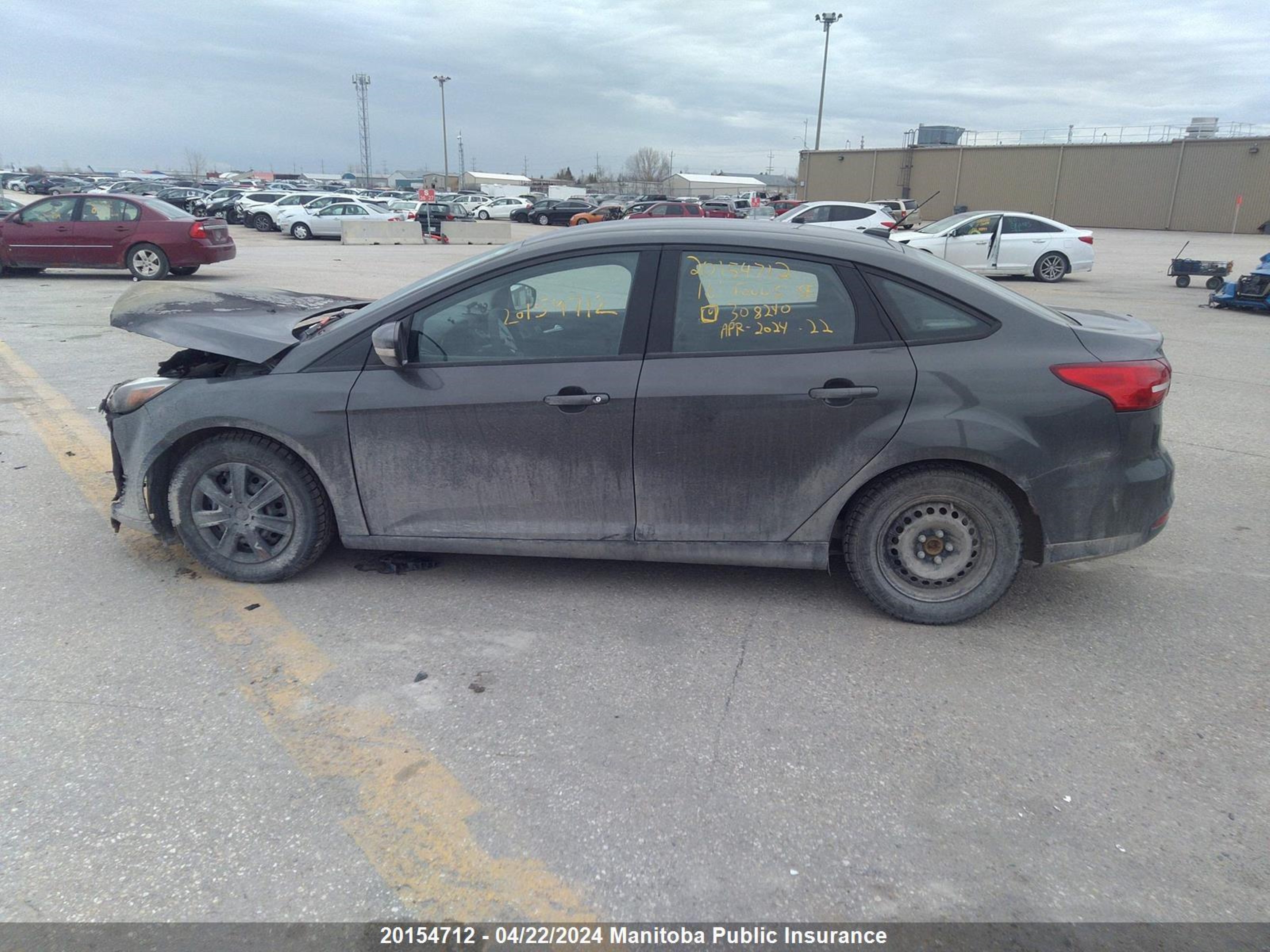 Photo 13 VIN: 1FADP3F25GL308240 - FORD FOCUS 