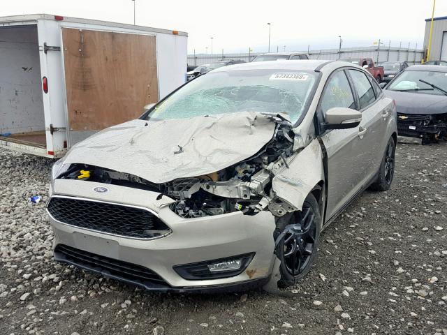 Photo 1 VIN: 1FADP3F25GL343618 - FORD FOCUS SE 