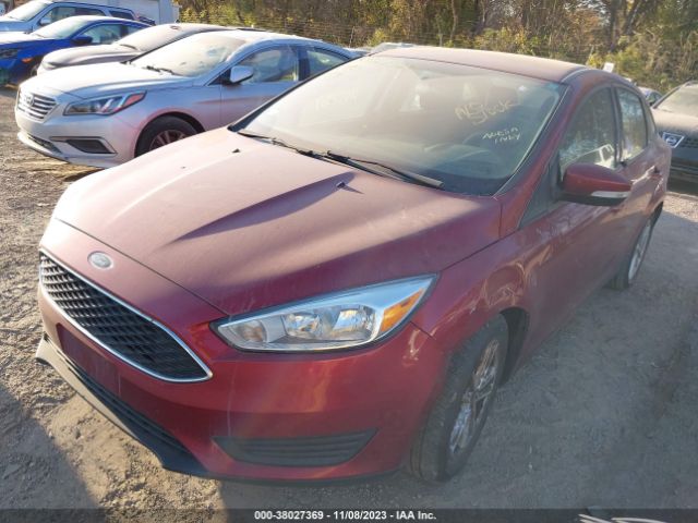 Photo 1 VIN: 1FADP3F25HL218782 - FORD FOCUS 