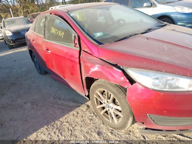 Photo 5 VIN: 1FADP3F25HL218782 - FORD FOCUS 