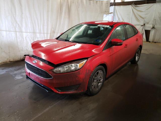 Photo 1 VIN: 1FADP3F25HL252575 - FORD FOCUS SE 