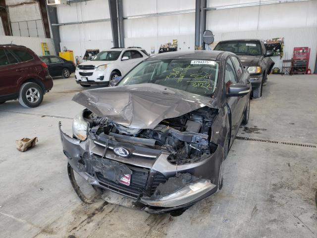 Photo 8 VIN: 1FADP3F26DL133122 - FORD FOCUS SE 