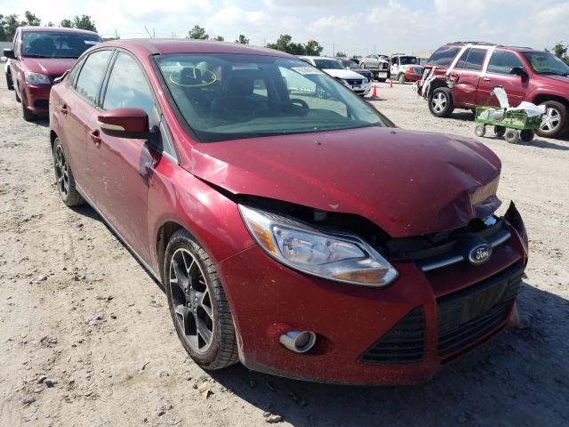 Photo 0 VIN: 1FADP3F26DL144928 - FORD FOCUS SE 