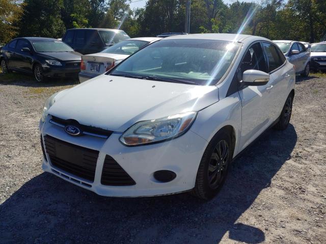 Photo 1 VIN: 1FADP3F26EL113387 - FORD FOCUS SE 