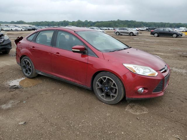 Photo 3 VIN: 1FADP3F26EL130738 - FORD FOCUS SE 