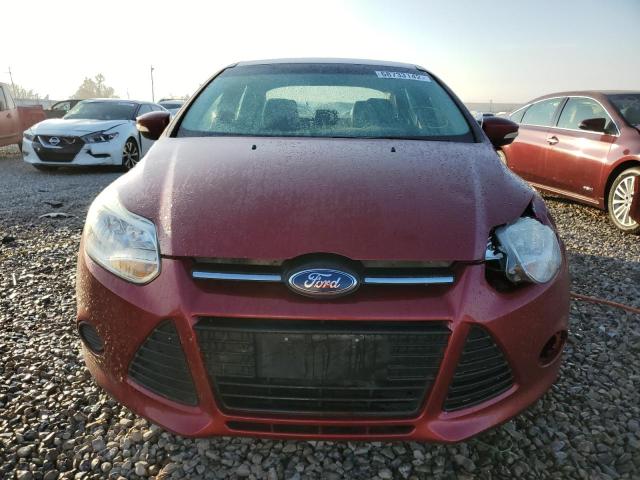 Photo 4 VIN: 1FADP3F26EL452585 - FORD FOCUS SE 