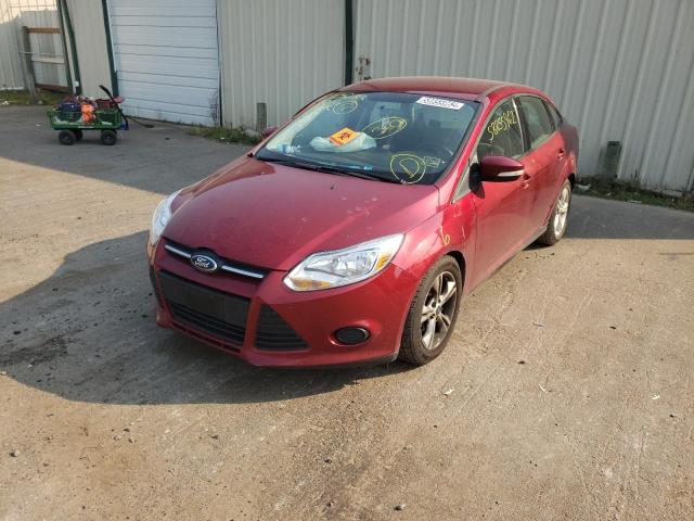 Photo 8 VIN: 1FADP3F26EL452876 - FORD FOCUS SE 