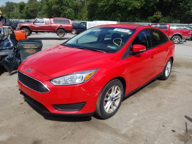 Photo 1 VIN: 1FADP3F26FL229268 - FORD FOCUS SE 