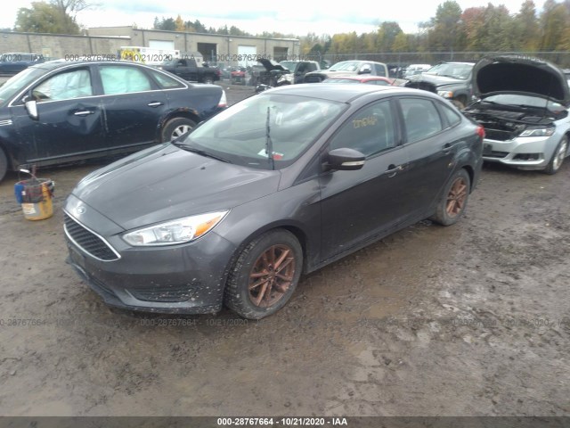 Photo 1 VIN: 1FADP3F26FL243719 - FORD FOCUS 