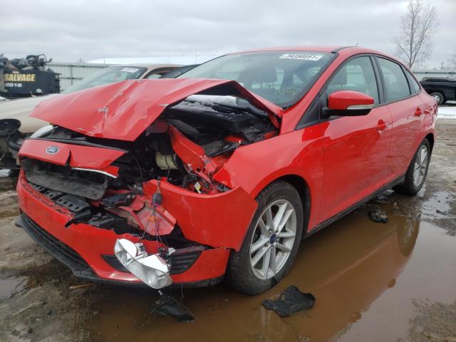 Photo 1 VIN: 1FADP3F26FL253814 - FORD FOCUS SE 