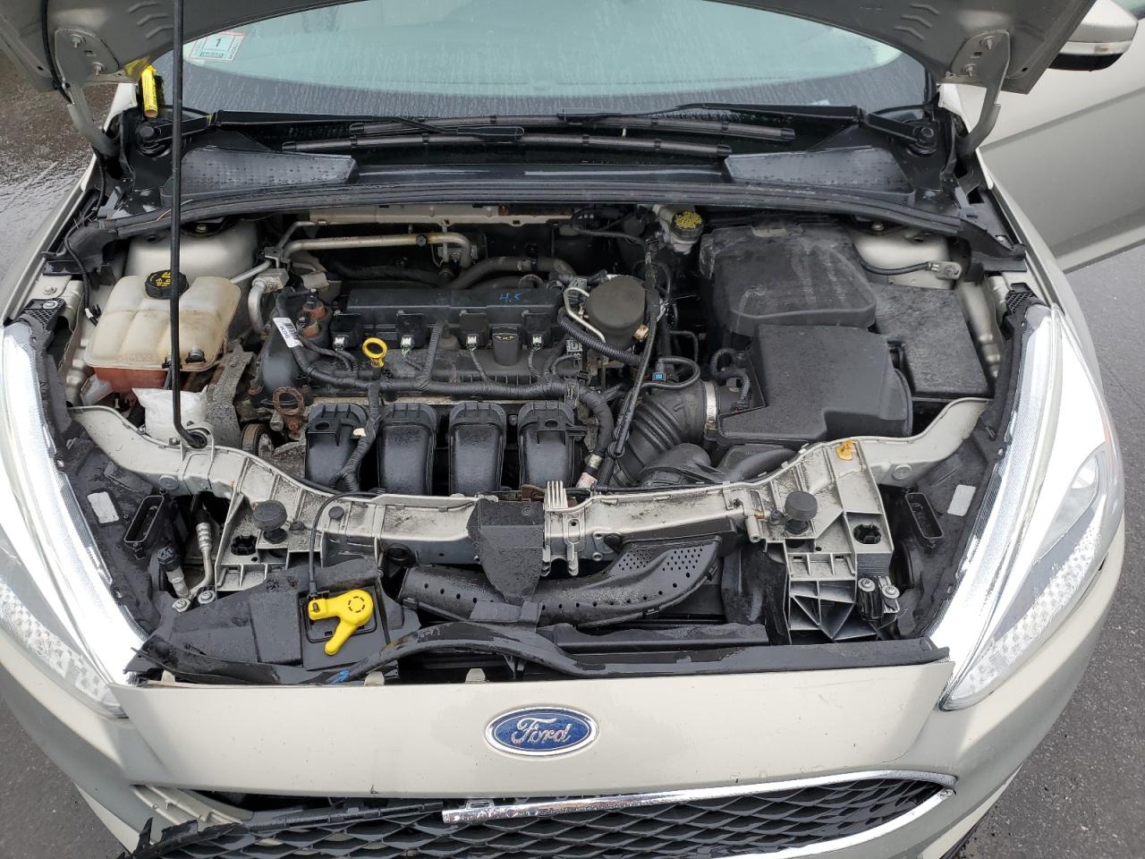 Photo 10 VIN: 1FADP3F26FL292256 - FORD FOCUS 