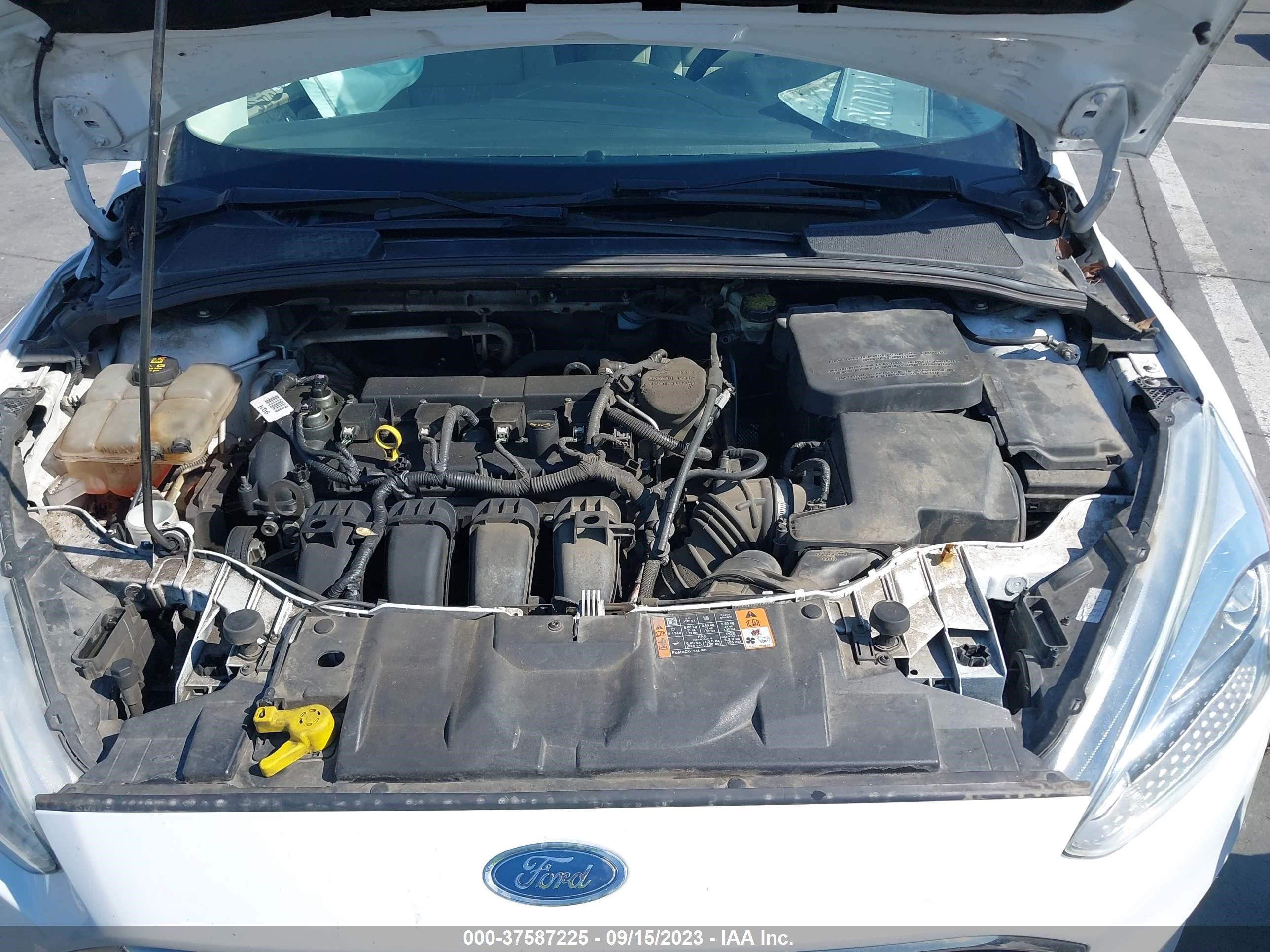 Photo 9 VIN: 1FADP3F26FL325093 - FORD FOCUS 