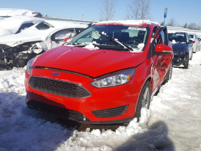 Photo 1 VIN: 1FADP3F26GL220331 - FORD FOCUS SE 