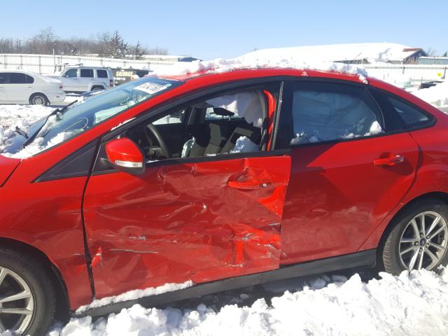 Photo 8 VIN: 1FADP3F26GL220331 - FORD FOCUS SE 