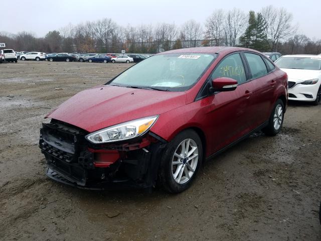 Photo 1 VIN: 1FADP3F26GL240224 - FORD FOCUS 