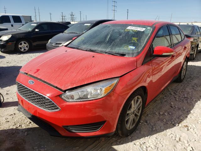 Photo 1 VIN: 1FADP3F26GL336791 - FORD FOCUS SE 