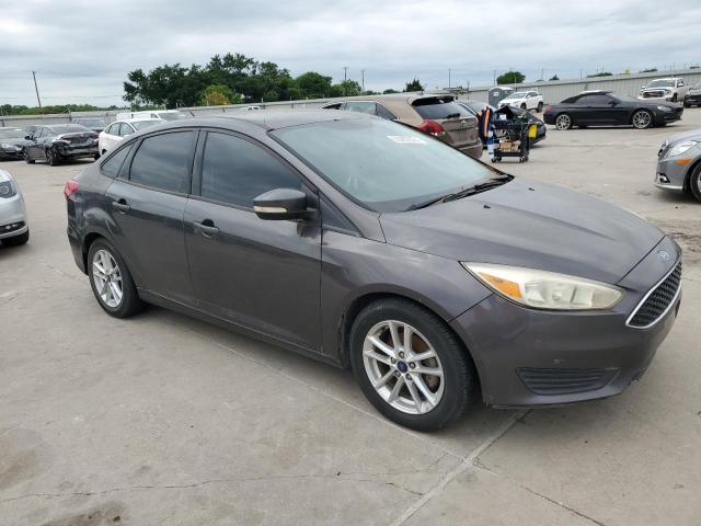 Photo 3 VIN: 1FADP3F26GL341070 - FORD FOCUS 