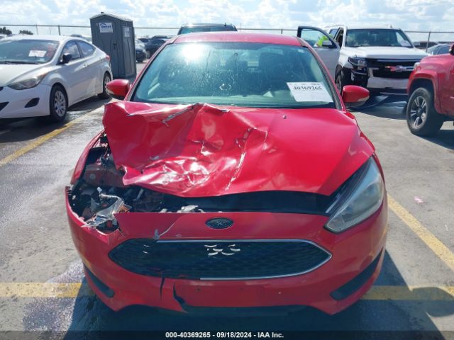 Photo 5 VIN: 1FADP3F26GL365367 - FORD FOCUS 