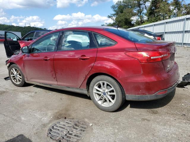 Photo 1 VIN: 1FADP3F26GL397946 - FORD FOCUS 