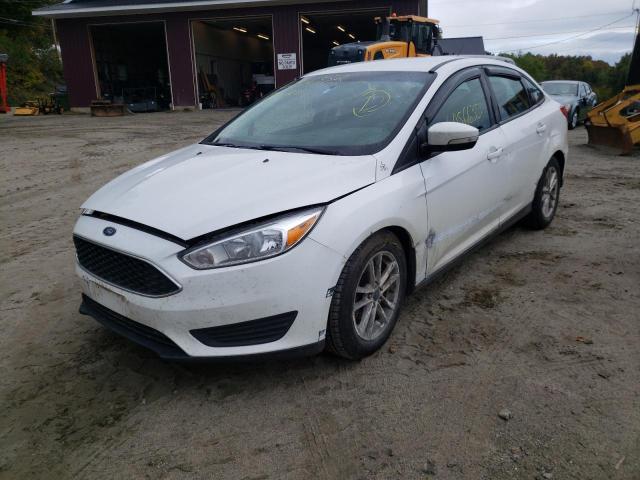 Photo 1 VIN: 1FADP3F26HL321659 - FORD FOCUS SE 