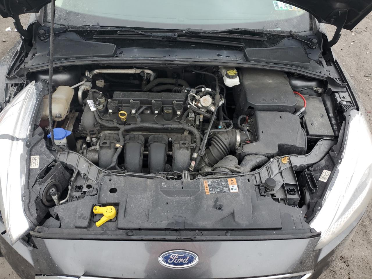 Photo 10 VIN: 1FADP3F26JL221681 - FORD FOCUS 