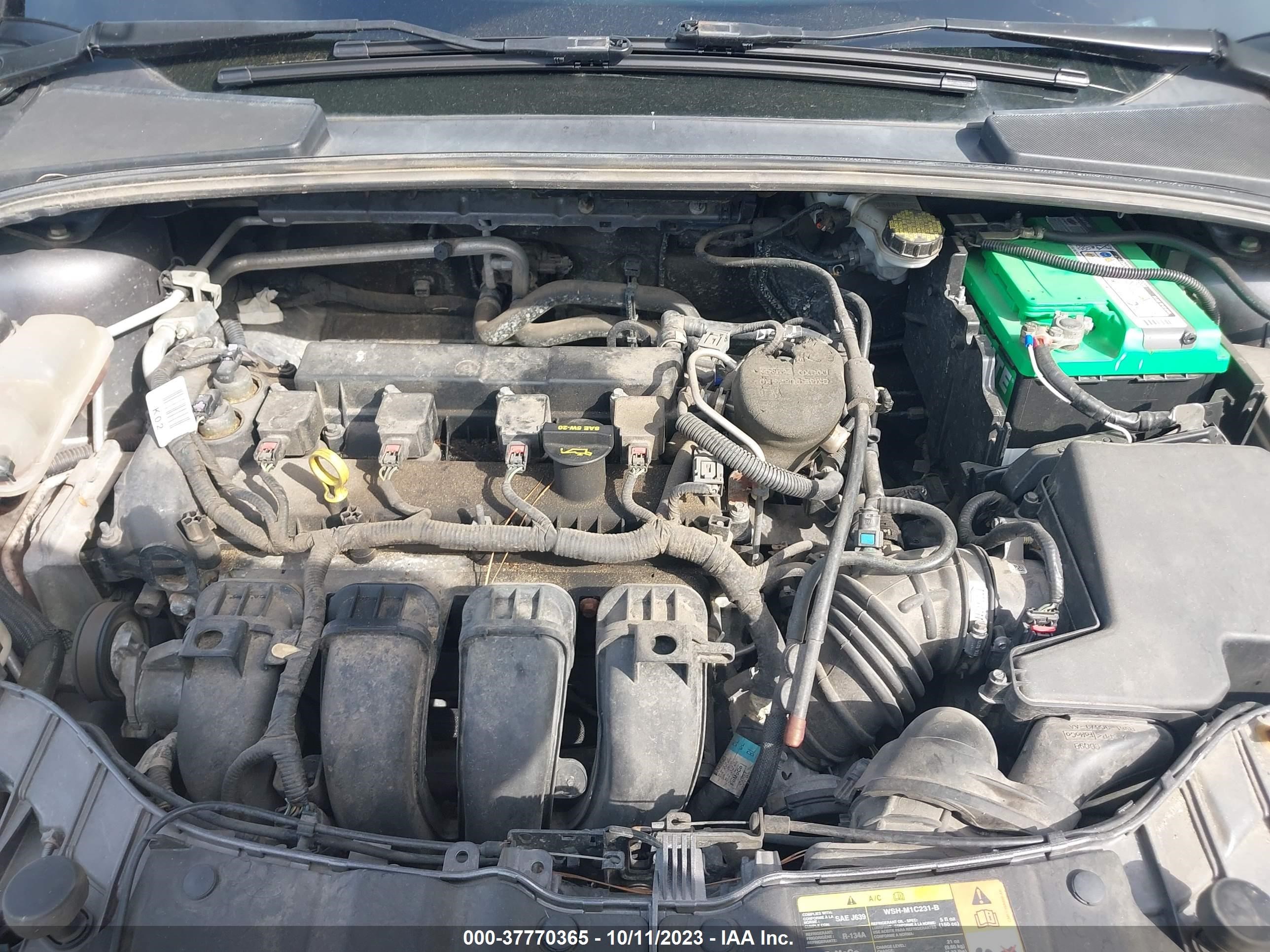 Photo 9 VIN: 1FADP3F27DL169756 - FORD FOCUS 