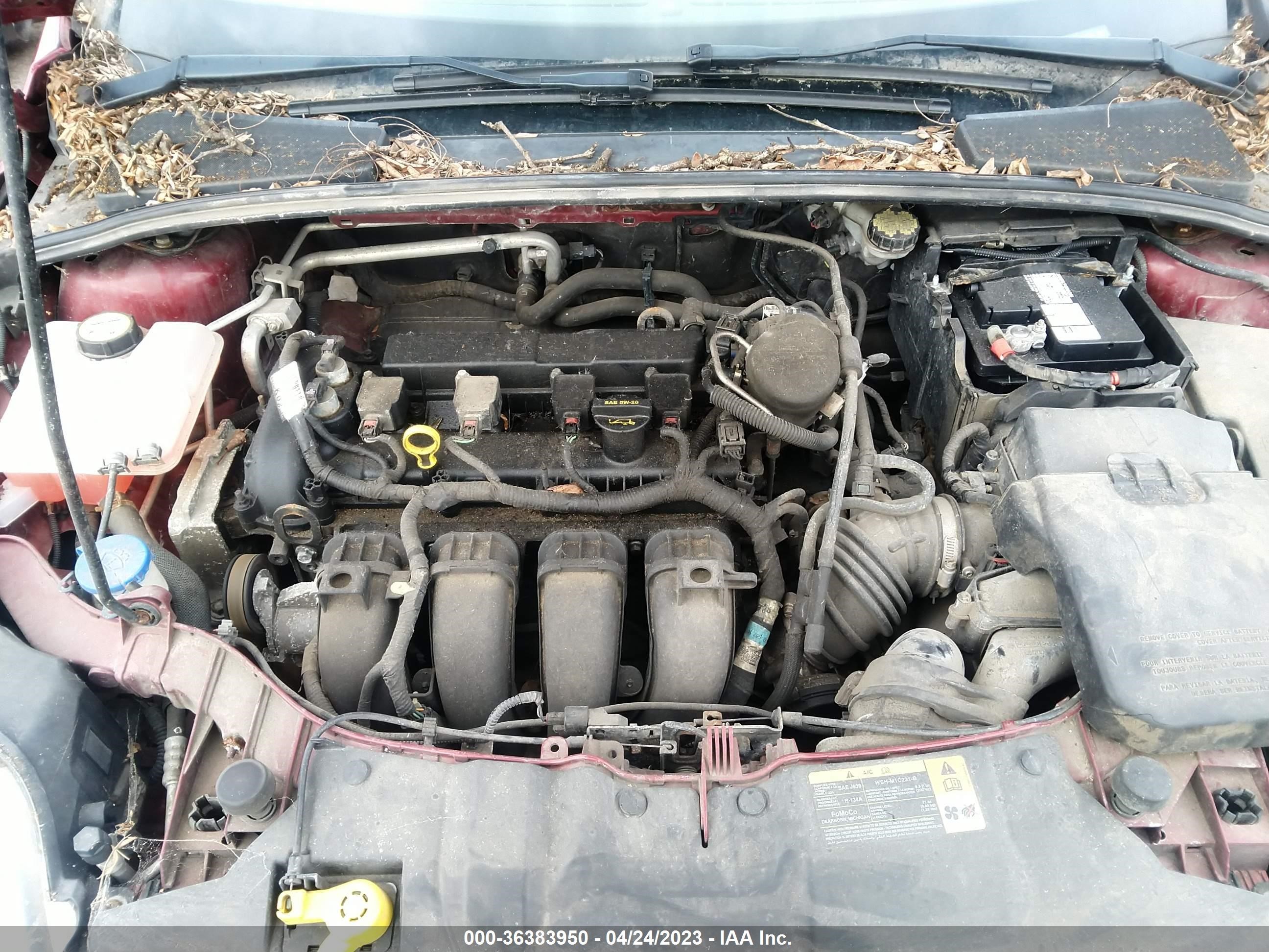 Photo 9 VIN: 1FADP3F27DL226232 - FORD FOCUS 