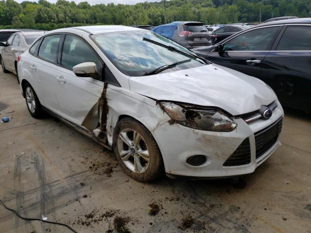 Photo 8 VIN: 1FADP3F27EL238852 - FORD FOCUS SE 