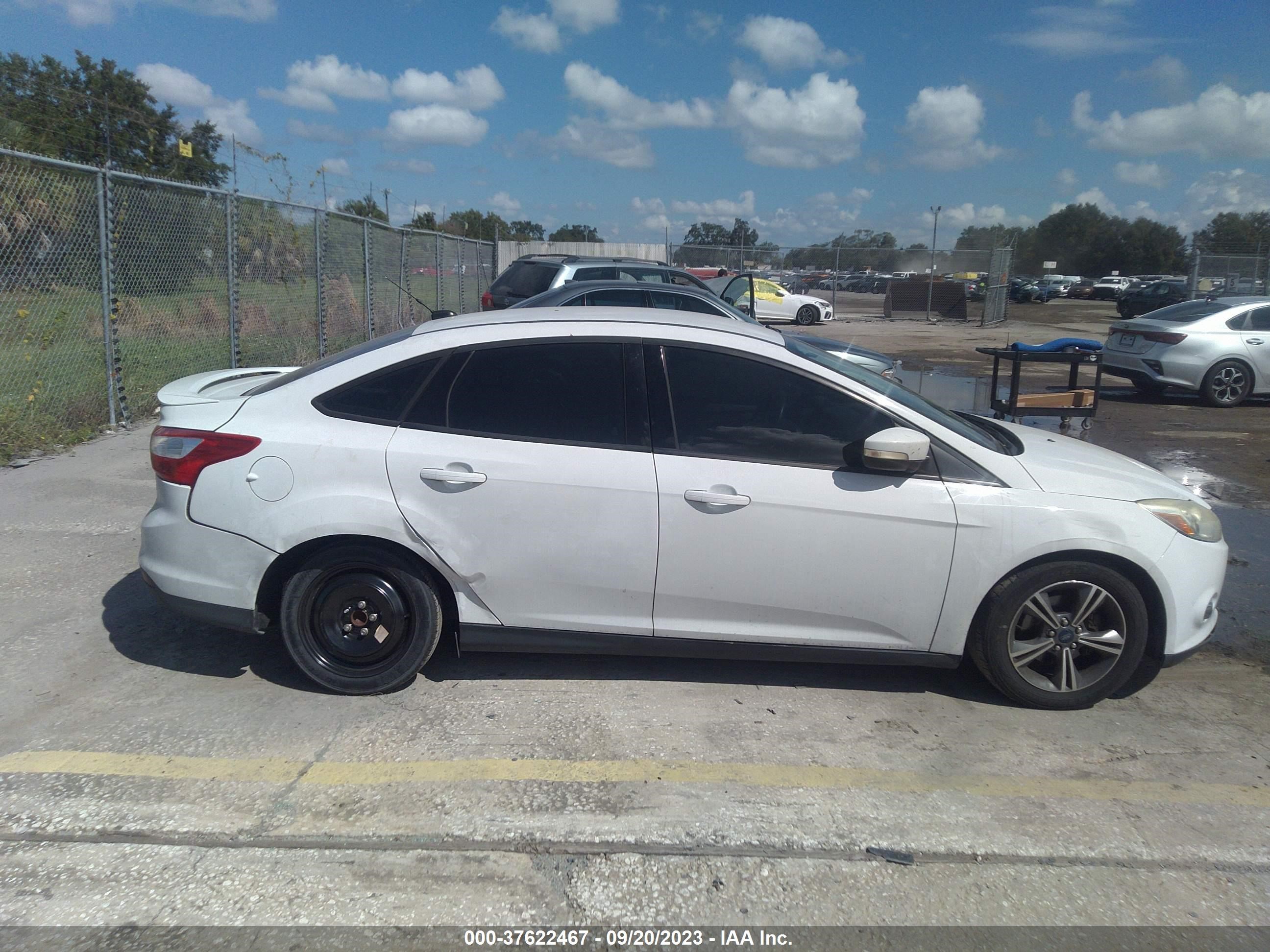 Photo 12 VIN: 1FADP3F27EL309502 - FORD FOCUS 