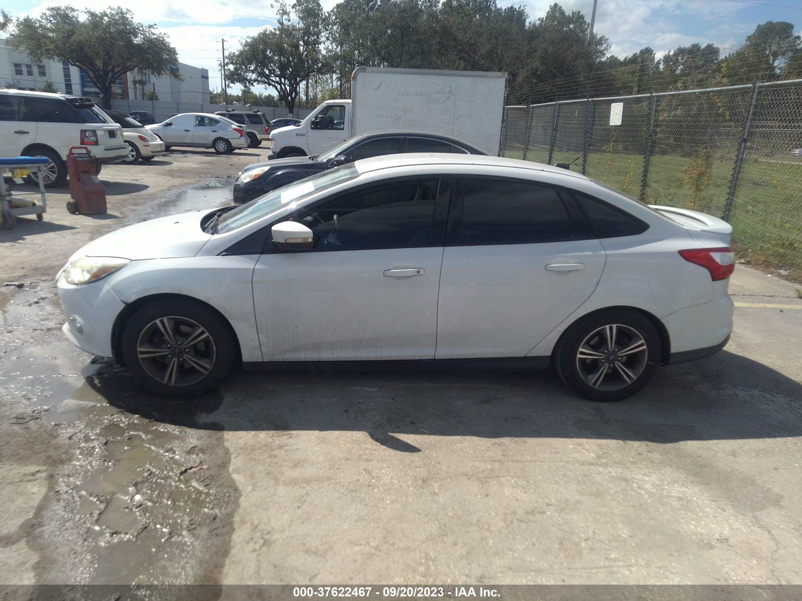 Photo 13 VIN: 1FADP3F27EL309502 - FORD FOCUS 