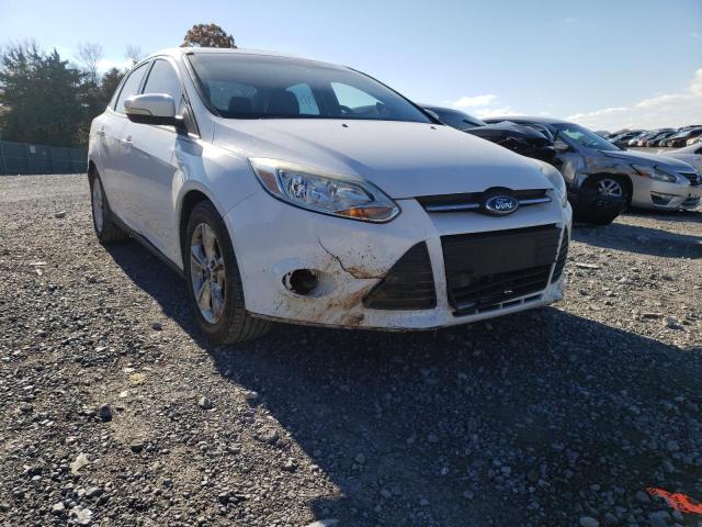 Photo 8 VIN: 1FADP3F27EL345335 - FORD FOCUS SE 