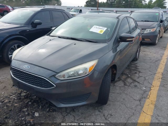 Photo 1 VIN: 1FADP3F27FL263719 - FORD FOCUS 