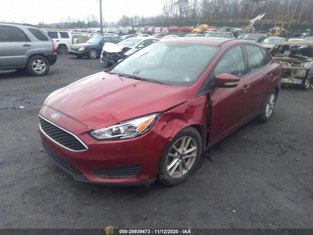 Photo 5 VIN: 1FADP3F27FL372312 - FORD FOCUS 