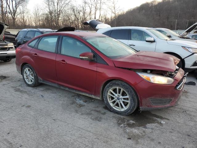 Photo 3 VIN: 1FADP3F27FL373539 - FORD FOCUS 