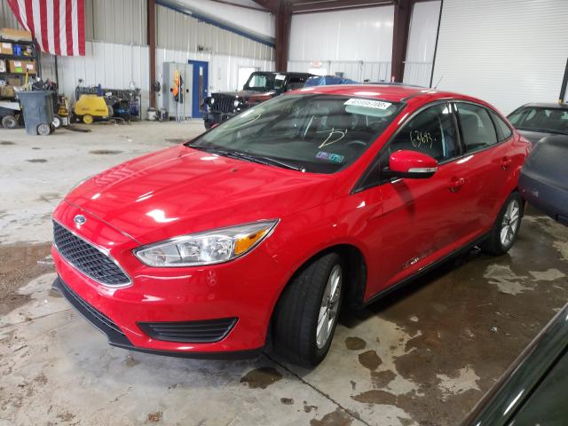 Photo 1 VIN: 1FADP3F27GL247604 - FORD FOCUS SE 