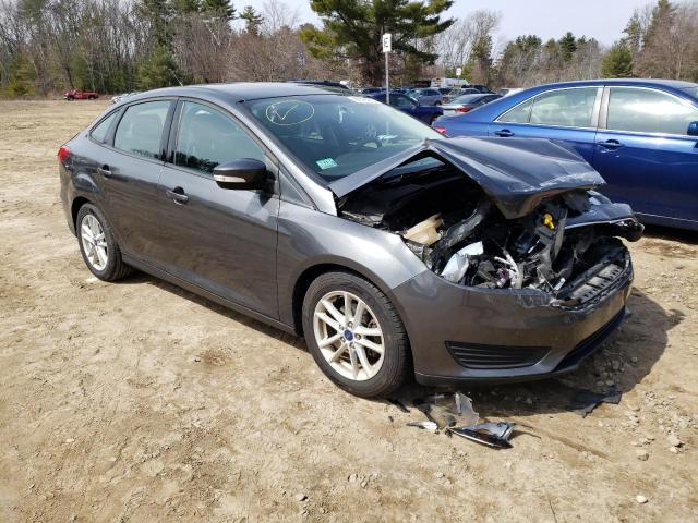 Photo 3 VIN: 1FADP3F27GL396594 - FORD FOCUS SE 