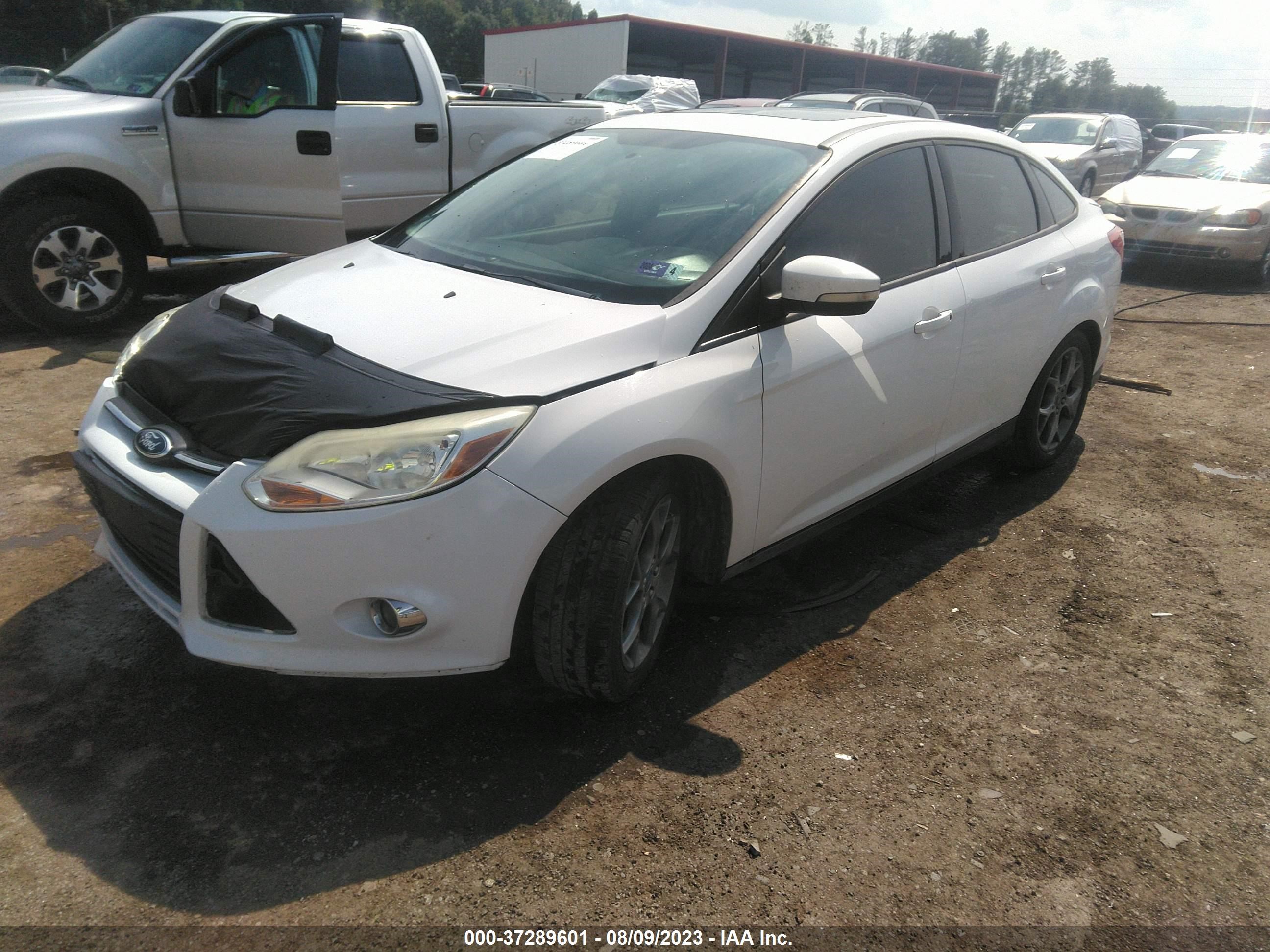 Photo 1 VIN: 1FADP3F28DL136555 - FORD FOCUS 