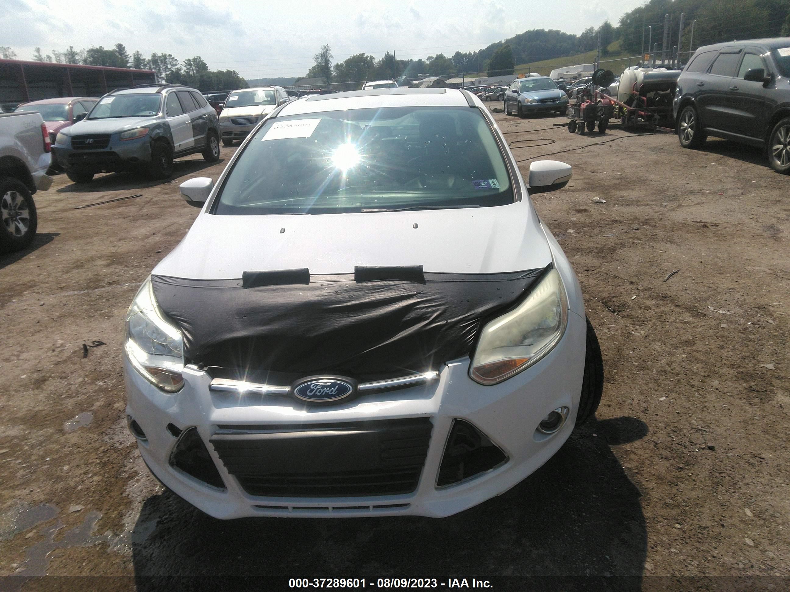 Photo 11 VIN: 1FADP3F28DL136555 - FORD FOCUS 