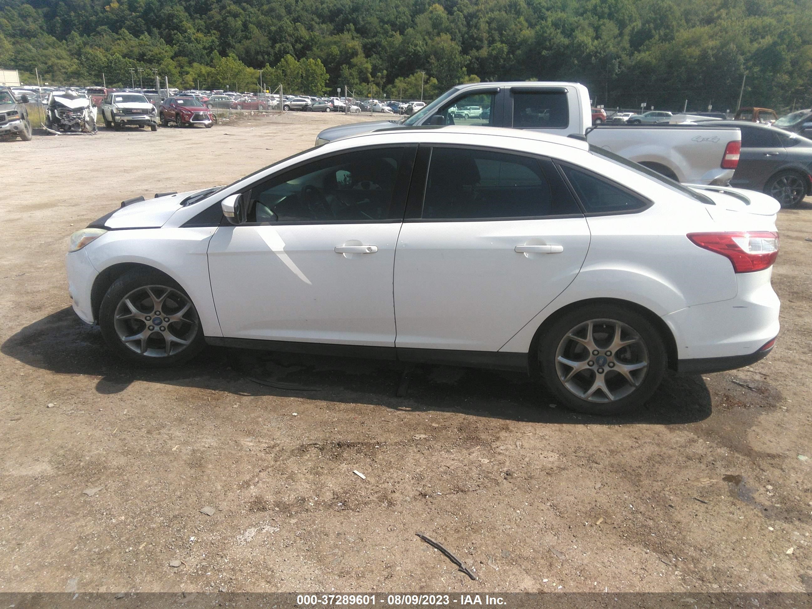 Photo 13 VIN: 1FADP3F28DL136555 - FORD FOCUS 