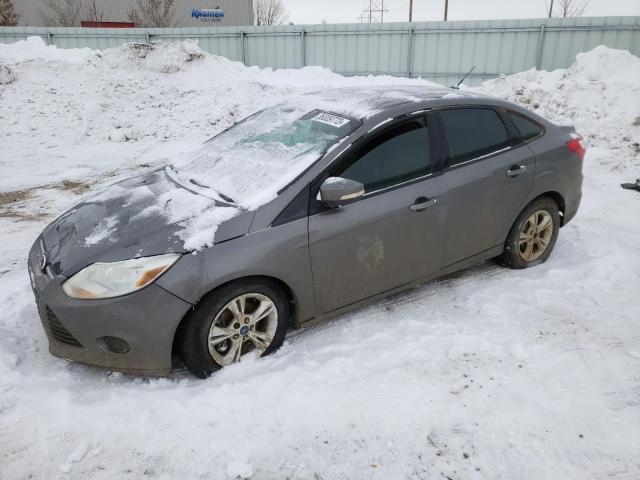 Photo 0 VIN: 1FADP3F28DL170768 - FORD FOCUS SE 