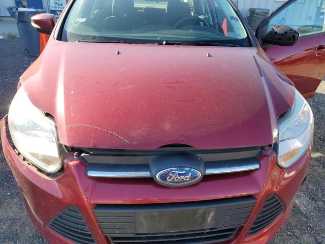 Photo 10 VIN: 1FADP3F28DL208385 - FORD FOCUS SE 