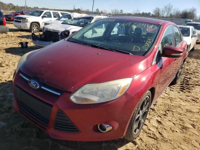 Photo 1 VIN: 1FADP3F28DL242763 - FORD FOCUS SE 