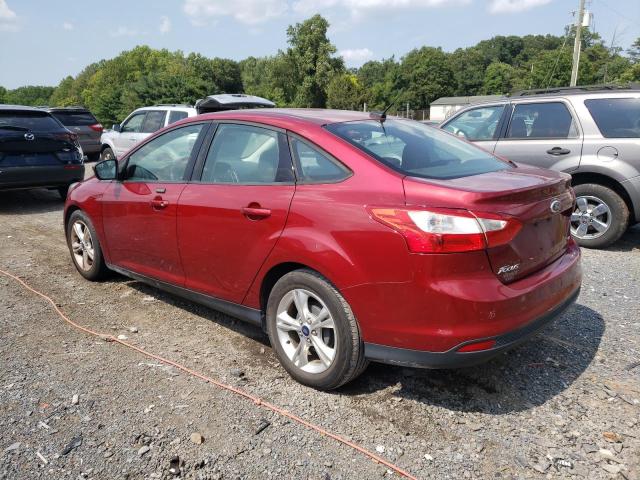 Photo 1 VIN: 1FADP3F28DL304971 - FORD FOCUS 