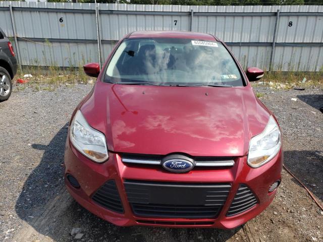 Photo 4 VIN: 1FADP3F28DL304971 - FORD FOCUS 