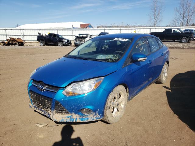 Photo 1 VIN: 1FADP3F28DL318434 - FORD FOCUS SE 