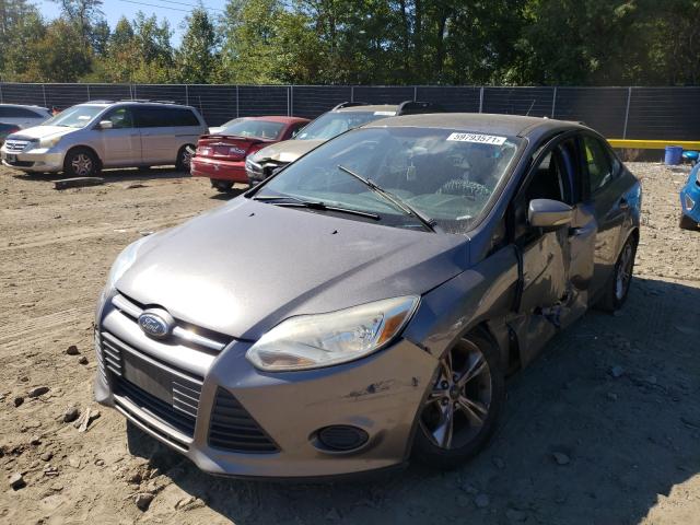 Photo 1 VIN: 1FADP3F28EL217024 - FORD FOCUS SE 