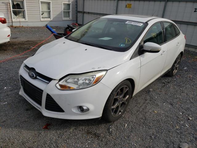 Photo 1 VIN: 1FADP3F28EL377954 - FORD FOCUS SE 